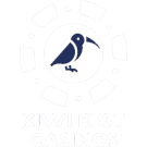 Kiwi Best Casinos